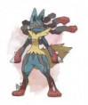 /album/galleria-fotografica/mega-lucario-x-and-y-jpg/
